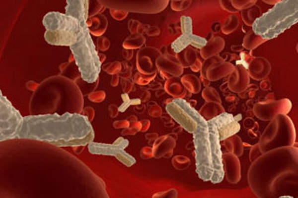 Broadly Neutralizing Antibodies for Curing Acute HIV Infection