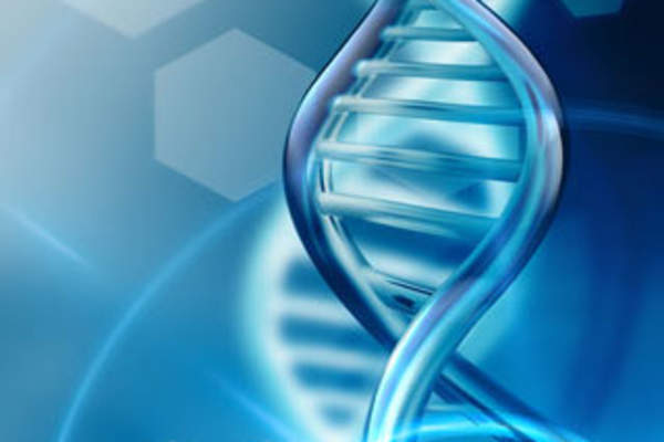 Update on Genetic Engineering for an HIV Cure