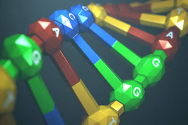 Targeted Nucleases