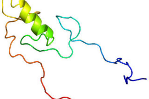 Modifying Tripartite Motif-Containing Protein 5 (TRIM5)