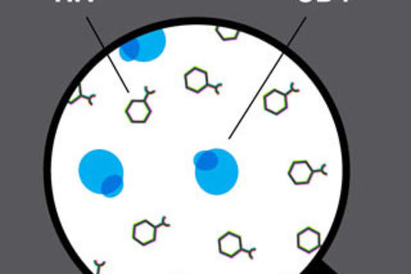 What Does It Mean to Have a Low CD4 Count