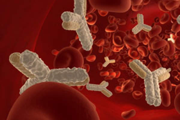 Antibodies
