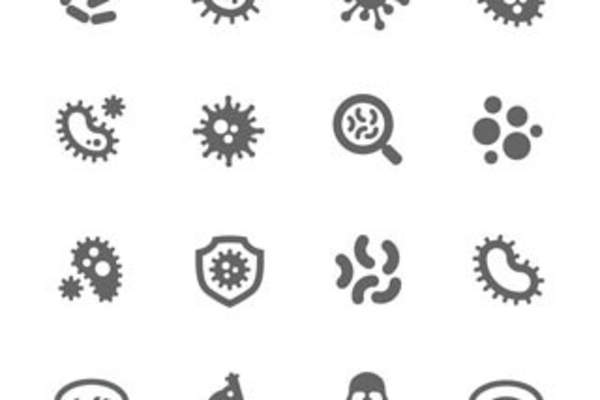 Types of Infections