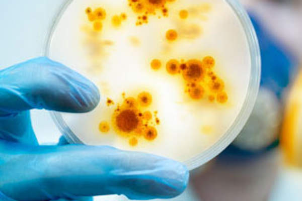 How Are Vaccines Developed?