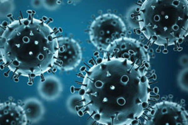 Subunit Vaccines and Influenza