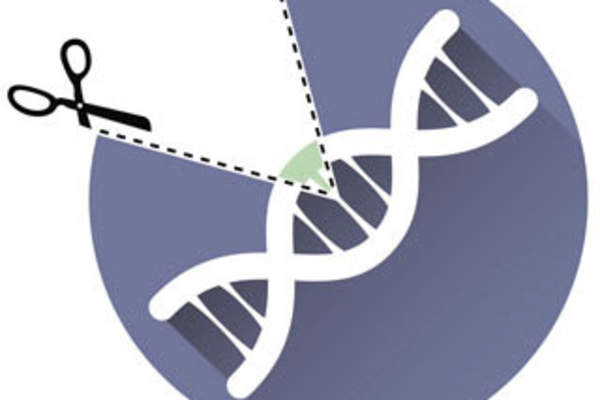 CRISPR/Cas9 Gene Editing
