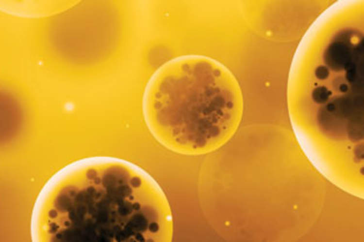 Antiretroviral Therapy in 2016
