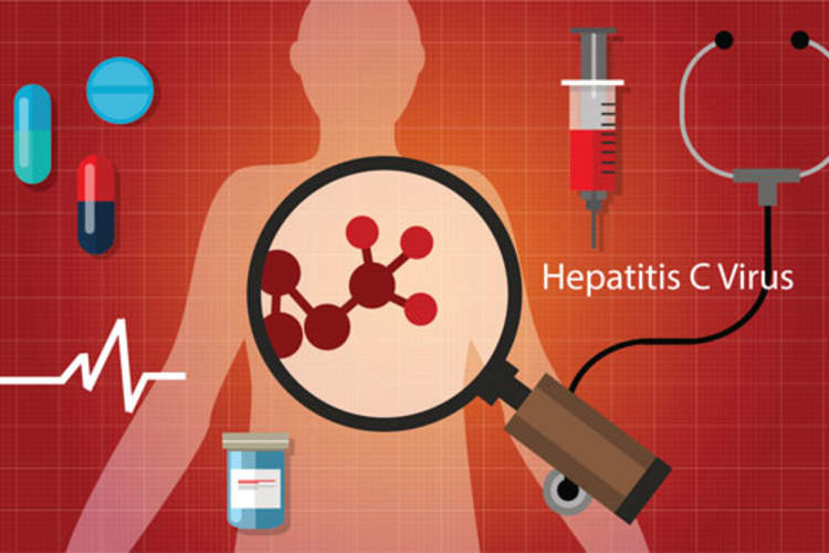 hepatitis c virus