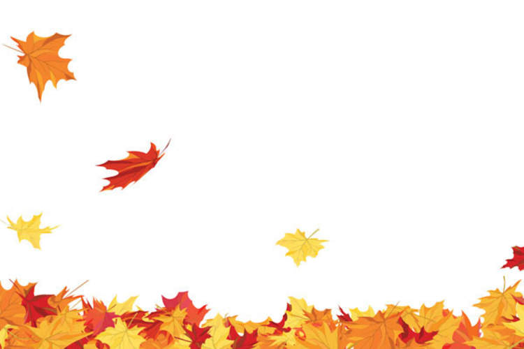 falling leaves