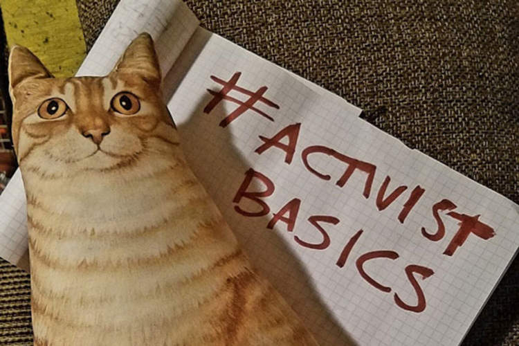 activist basics