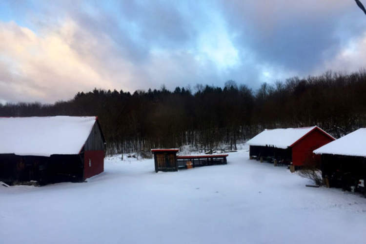 rural snow scene