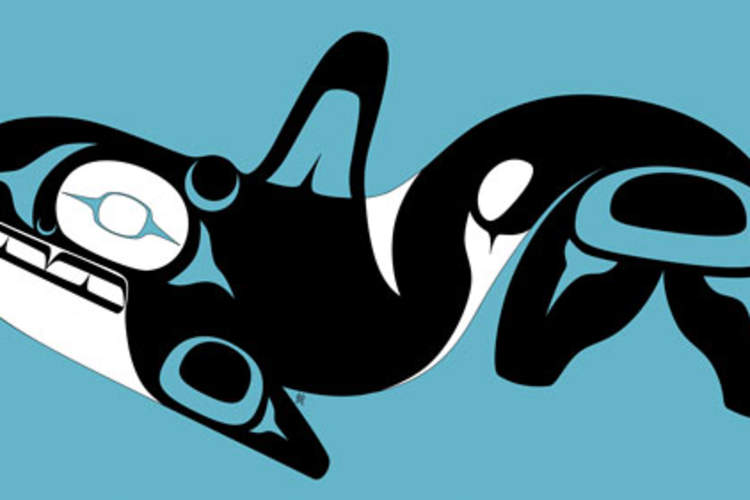 Killer Whale