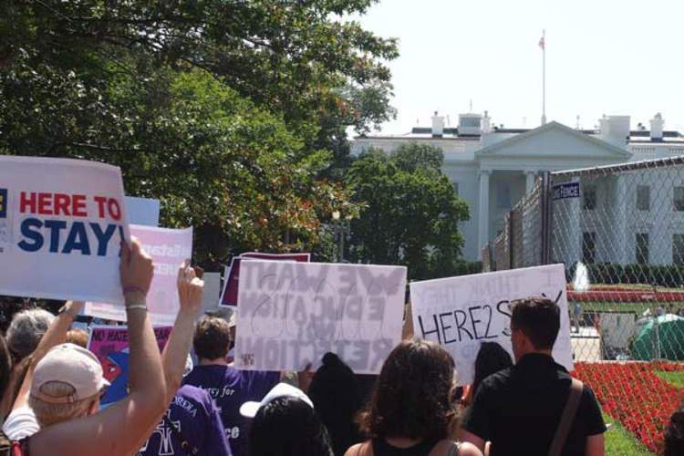 DACA protesters in front of White House
