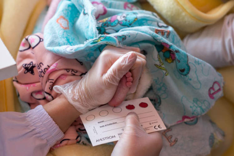 Collection of a one-week-old baby's blood drop for subsequent instant analysis on HIV