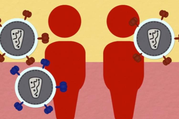 An illustration depicts HIV superinfection, a condition in which a person who is already living with one strain of HIV acquires another strain of the virus.