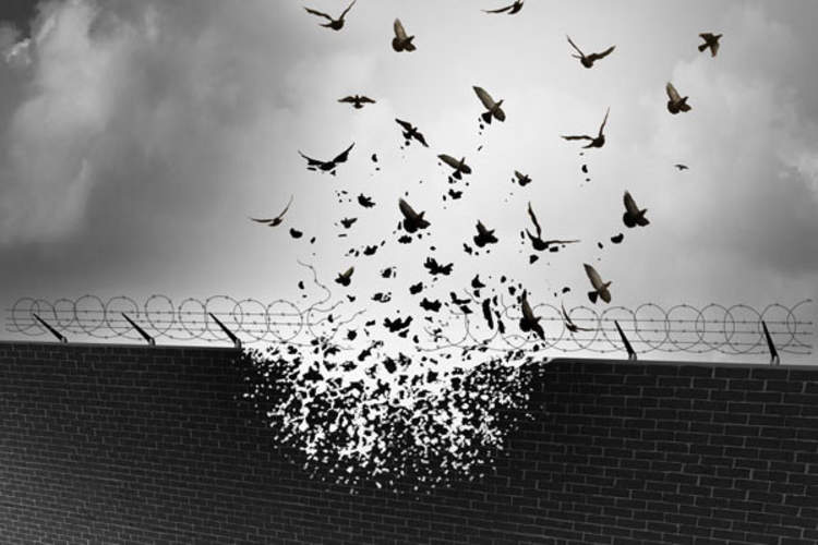 birds flying out of wall with barbed wire