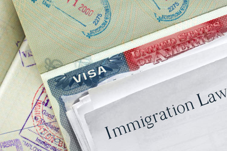 Immigration Law montage