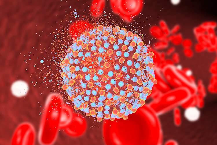 Hepatitis C virion