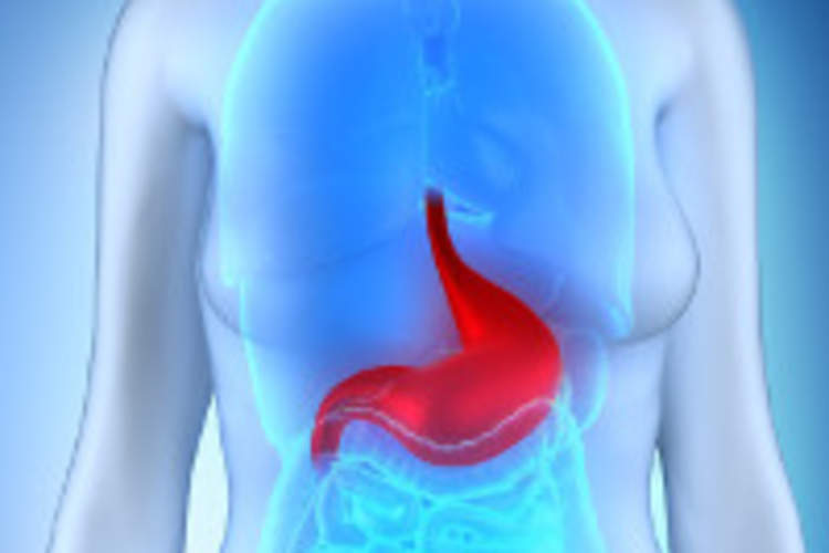 Caring for Your Gut: Dealing With Diarrhea, Nausea and Other Stomach Problems if You Have HIV/AIDS Img