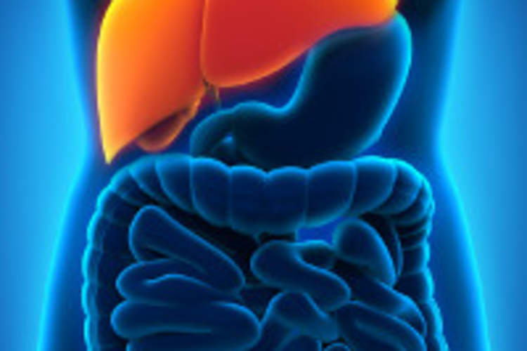 Caring for Your Liver if You Have HIV/AIDS Img