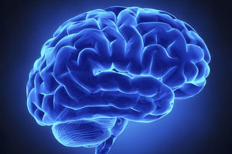 HIV and the Brain Img
