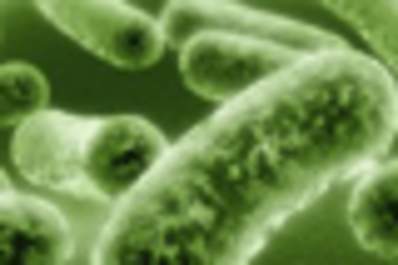 Another Sexually Transmitted Plague? Img