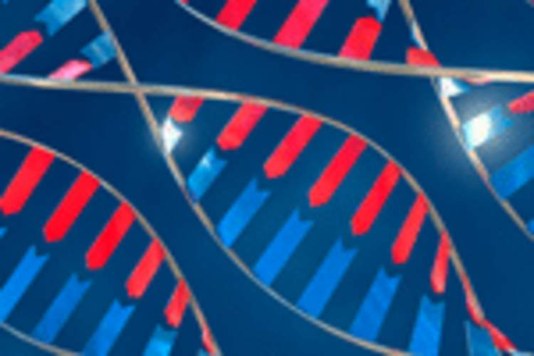 Survival Gene May Be Key to Controlling HIV and Hepatitis Img