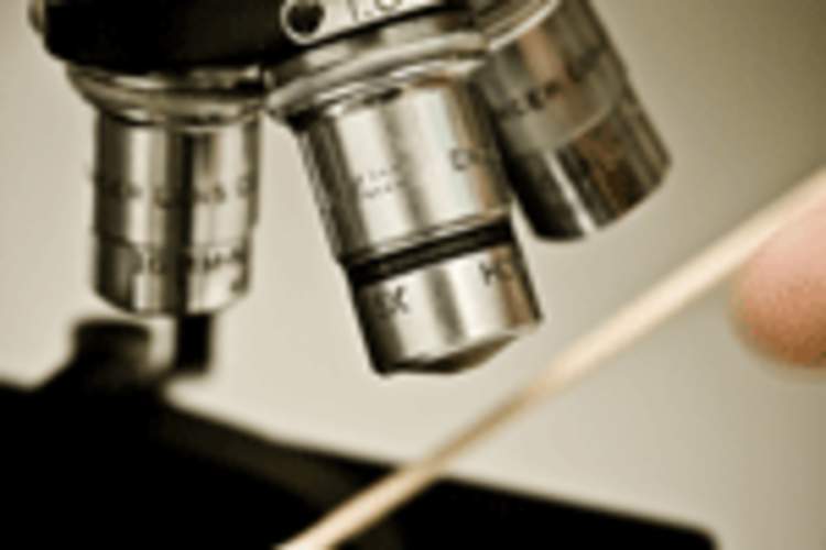 ART Reduces HIV Reservoirs in Elite Controllers: Implications for Cure Research Img