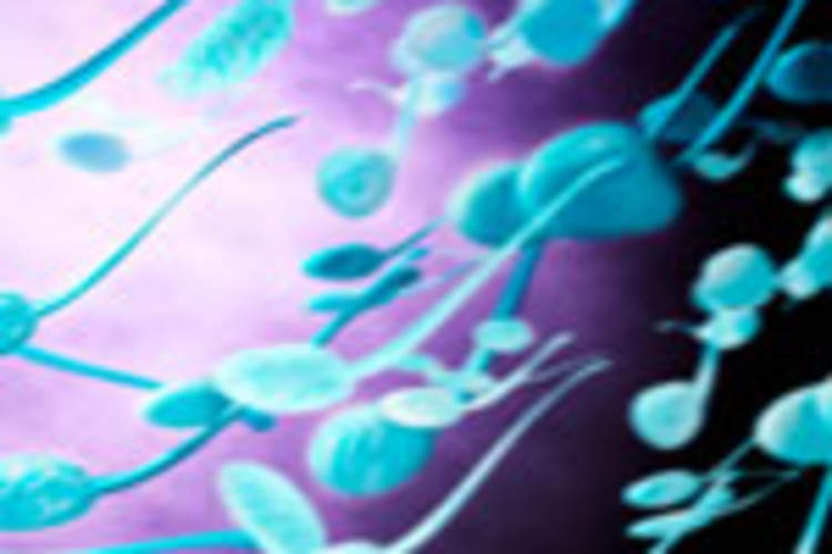 Treatment and Viral Load: What Do We Know About Their Effect on HIV Transmission? Img