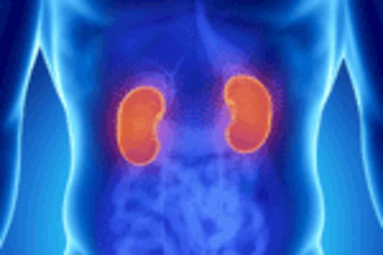 Truvada as PrEP Does Not Cause Kidney Damage, Study Suggests Img