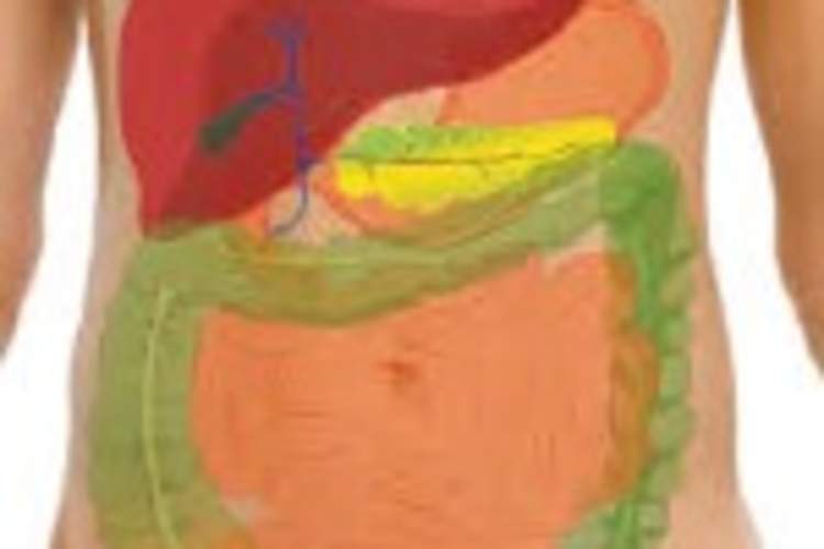 HIV in the Blood and Gut: Exploring the Differences Img