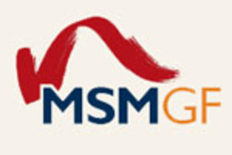 MSMGF, Johns Hopkins University Unveil New Gay Men's Health Curriculum for Health Care Providers Img