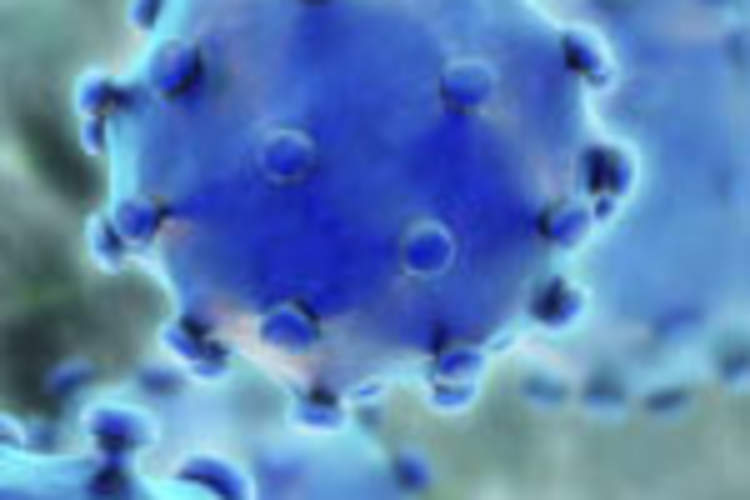 Hepatitis C Regimen, 3D, Cures 99% of Patients, With or Without Ribavirin Img