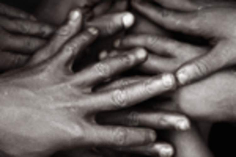 Stribild Safe and Effective in African Americans, 2 Studies Conclude Img