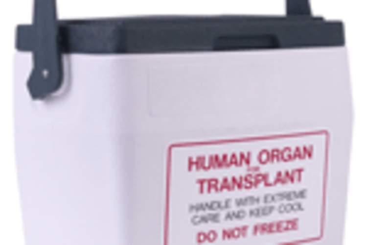 HOPE Act May Not Help People Living With HIV in Need of Organ Transplants Img
