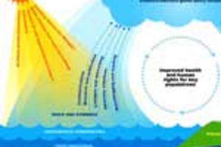 Global Report Details Advocacy Strategies of People With HIV, At-Risk Groups Img