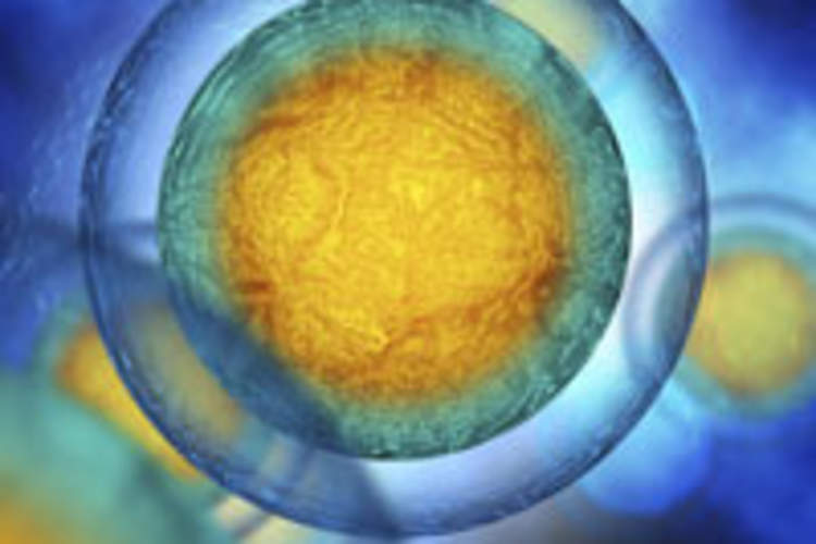 Four Challenges We Have to Crack Before Immune Therapy Can Revolutionize How We Fight Cancer Img