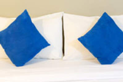 Diagnosing Bed Bugs: A San Francisco HIV Clinical Dermatologist Dispenses Advice Img