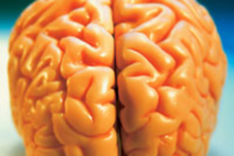 No Difference in Neuropsychological Test Results Between Early and Delayed Treatment in START Substudy Img