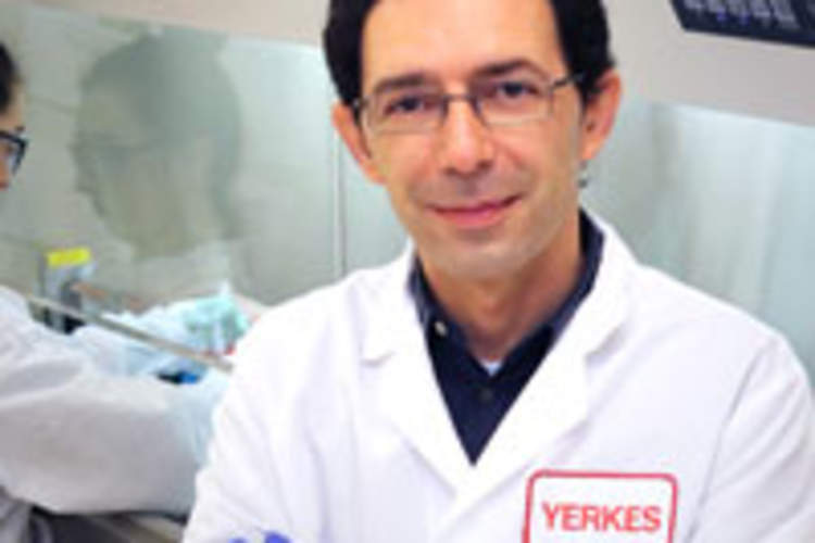 Reducing HIV Viral Reservoirs With Immune-Based Therapy Img