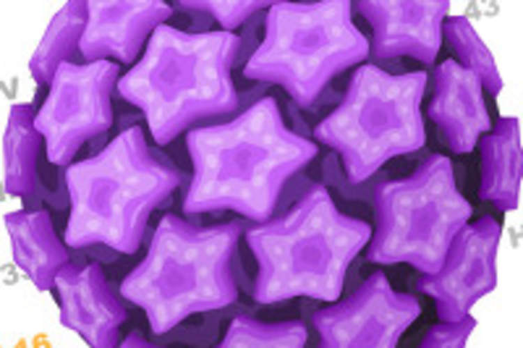 Higher New Anal HPV Infection and Duration in Gay Men With Versus Without HIV Img