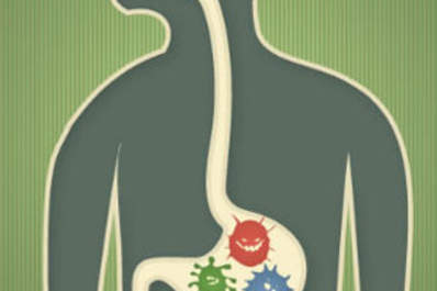 Bacteria in Our Gut Affects HIV -- Is There a Solution? Img