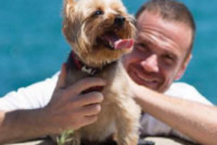 Saved By a 10-Pound Yorkshire Terrier Img