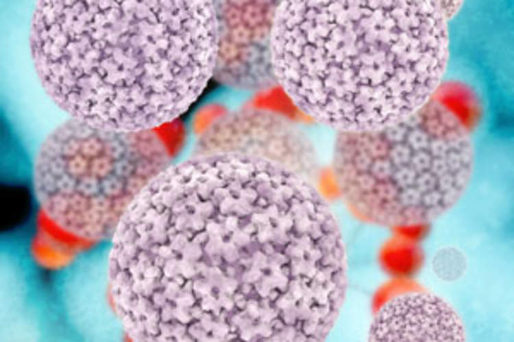 High Prevalence of Multiple High-Risk HPV Infections in Young HIV-Positive Gay Men Img