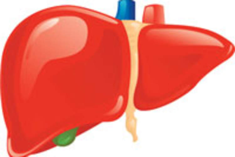 Non Alcohol Fatty Acid Liver Disease: An Emerging Problem Img