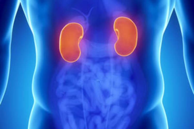 Fewer Renal or Bone Events With Atripla Than Stribild in Large Database Img