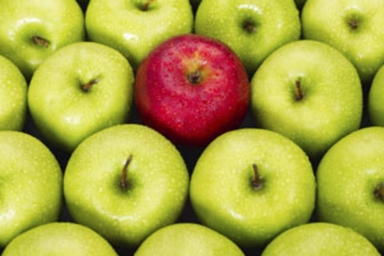 Food Insecurity Tied to Stigma and Depression in U.S. Women Living With HIV Img