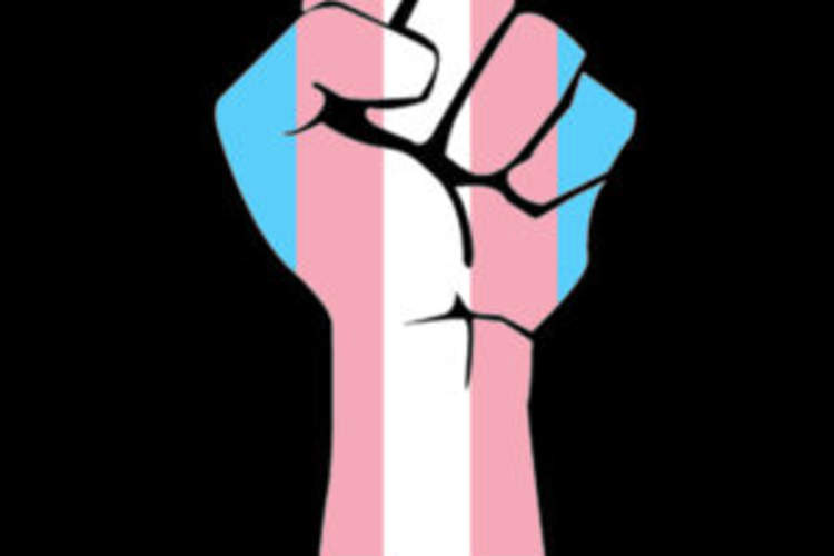 We Survive. We Resist: Statement on the 2016 Election Img