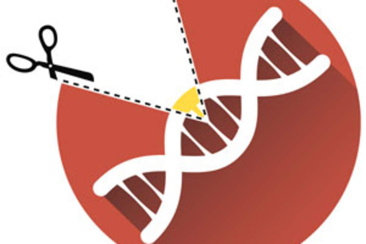 Gene-Editing Technology: A Game Changer for HIV Cure Research? Img