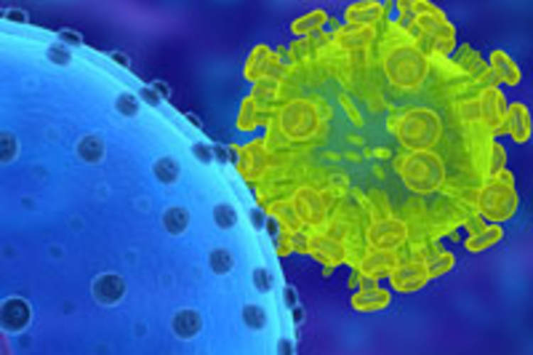 No HIV Transmissions in Couples With Positive Partner Undetectable on Treatment Img
